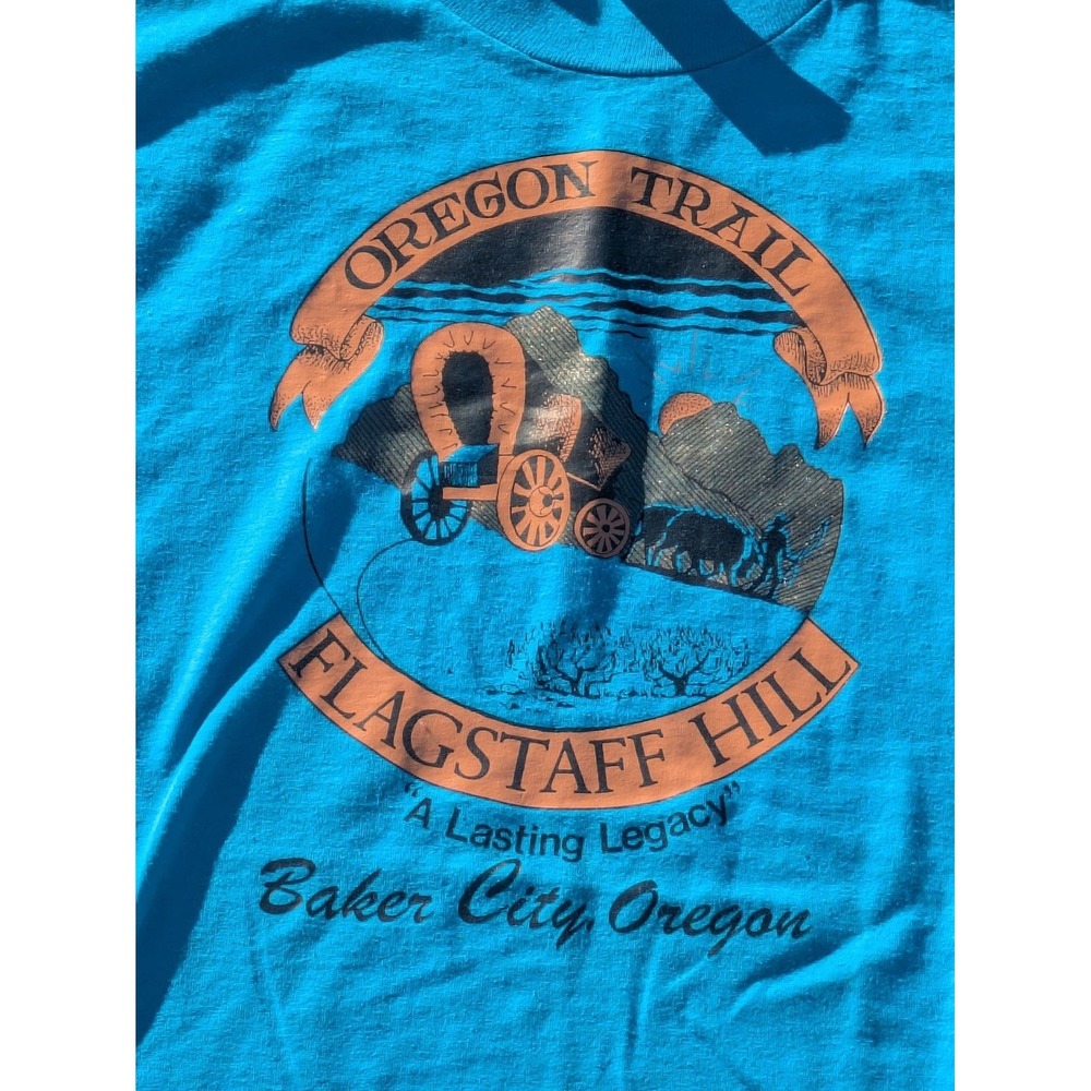 Vintage Hanes Shirt Mens Large Oregon Trail Flagstaff Hill Baker City Tee 80s